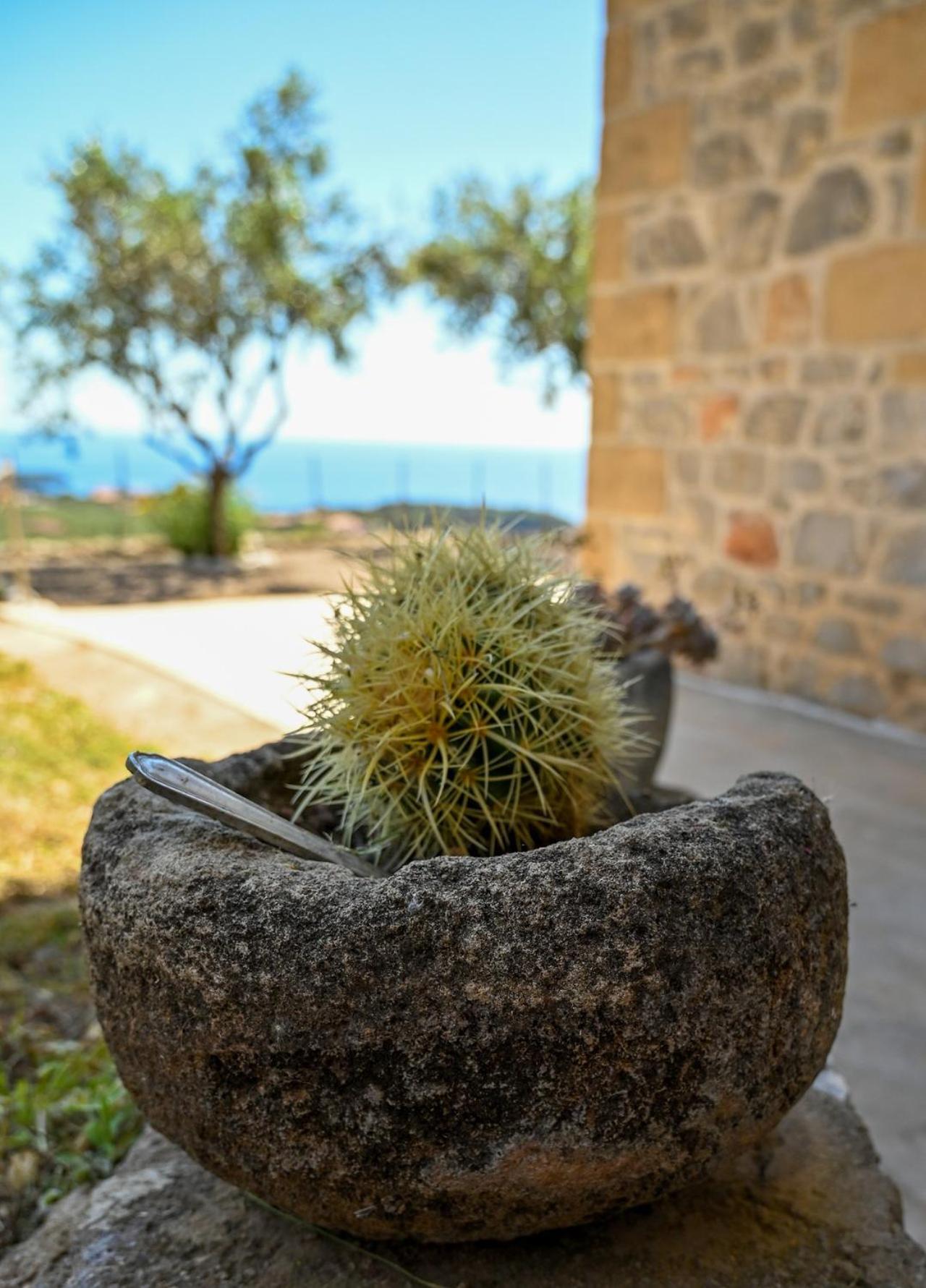 Villa Athina'S Stone House In Kardamyli Exterior foto