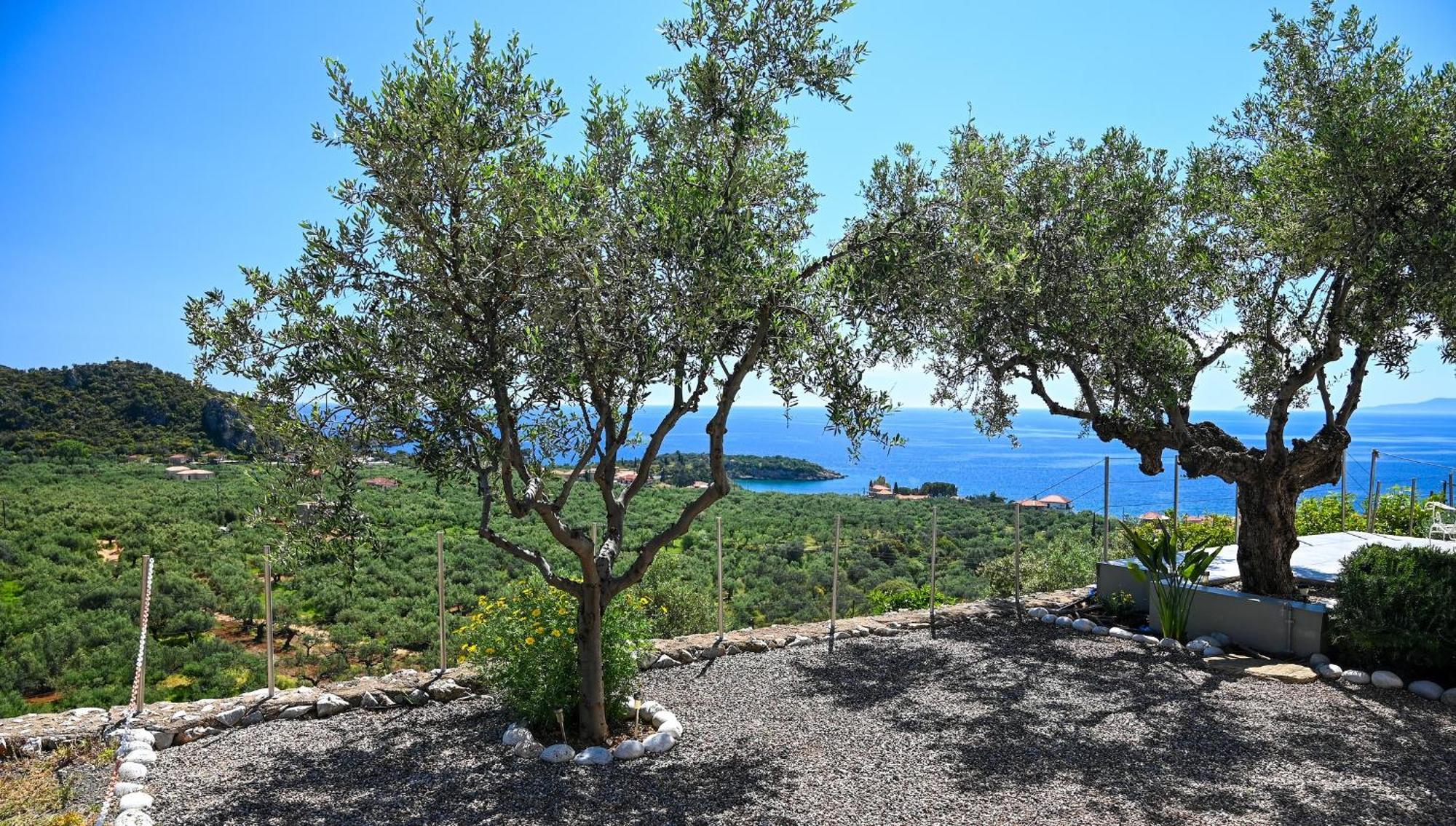 Villa Athina'S Stone House In Kardamyli Exterior foto