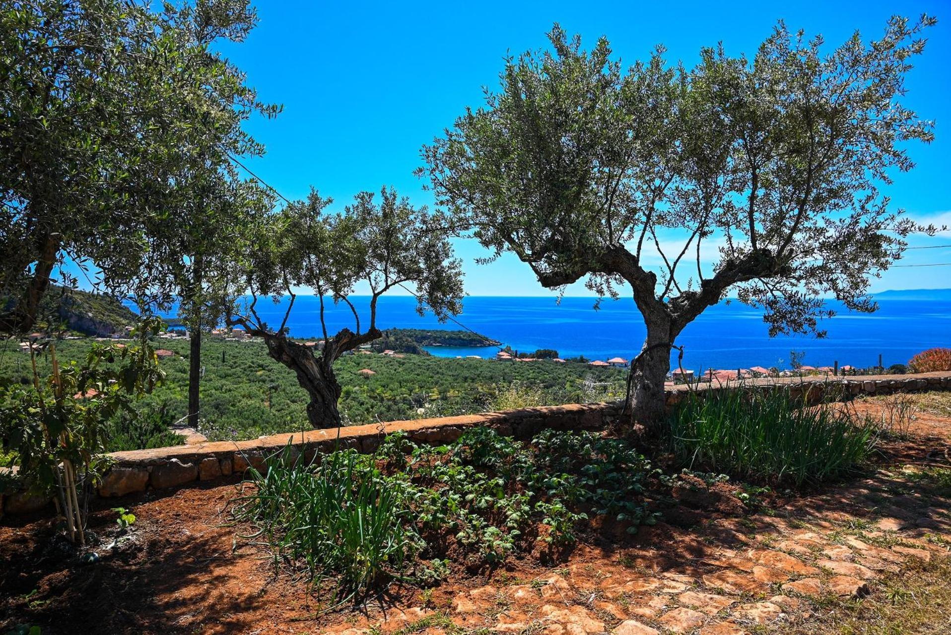 Villa Athina'S Stone House In Kardamyli Exterior foto
