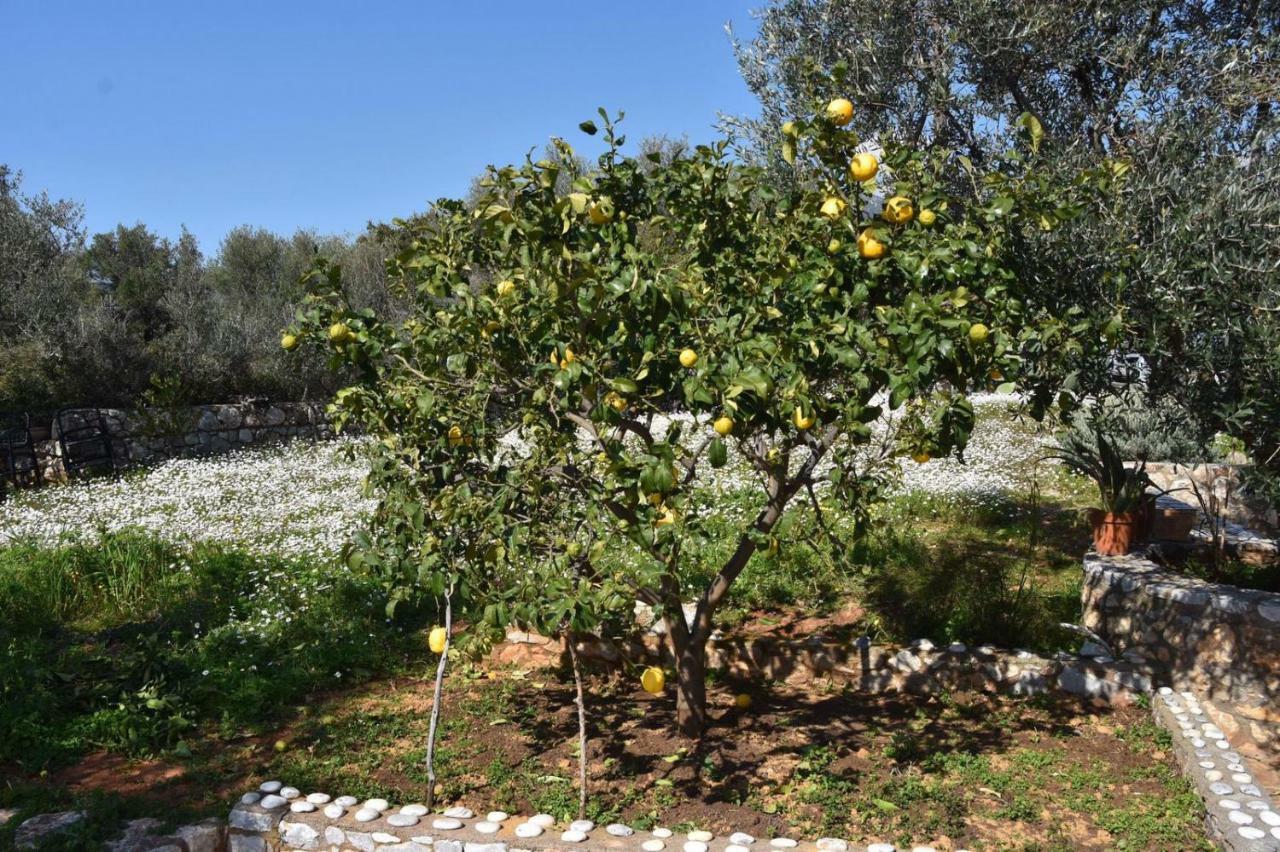 Villa Athina'S Stone House In Kardamyli Exterior foto